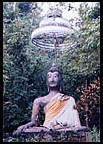 Buddha images nestle in the verdant forests