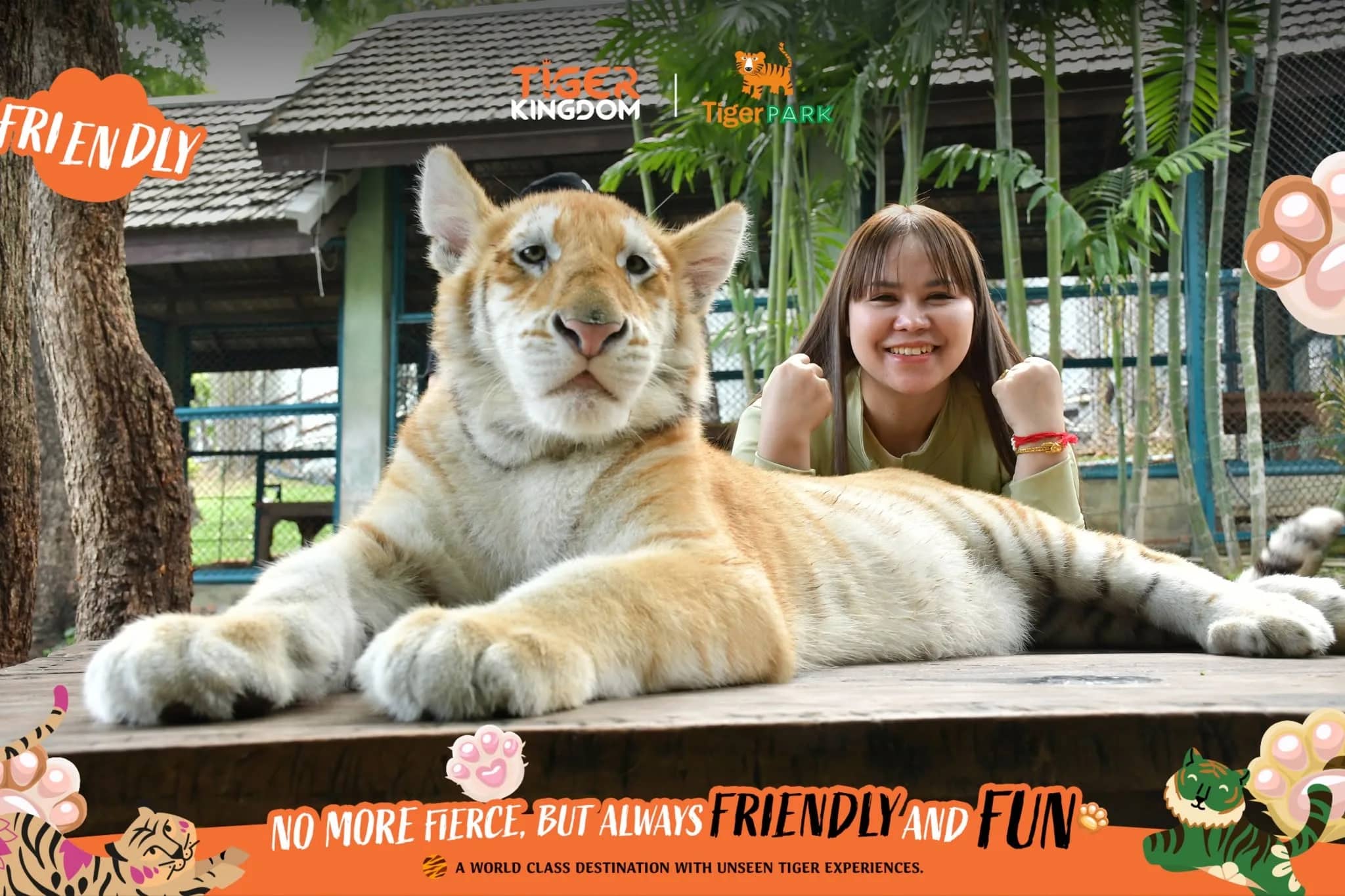 A visitor poses behind a golden tiger on a wooden platform inside a printed souvenir photo frame.