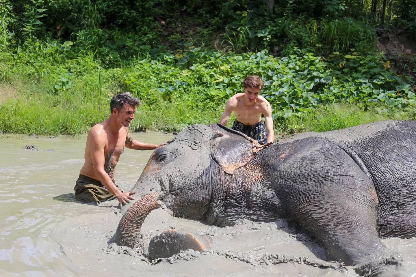 Two visitors rub mud onto an elephant lying in a muddy pool at the Mae Rim sanctuary.