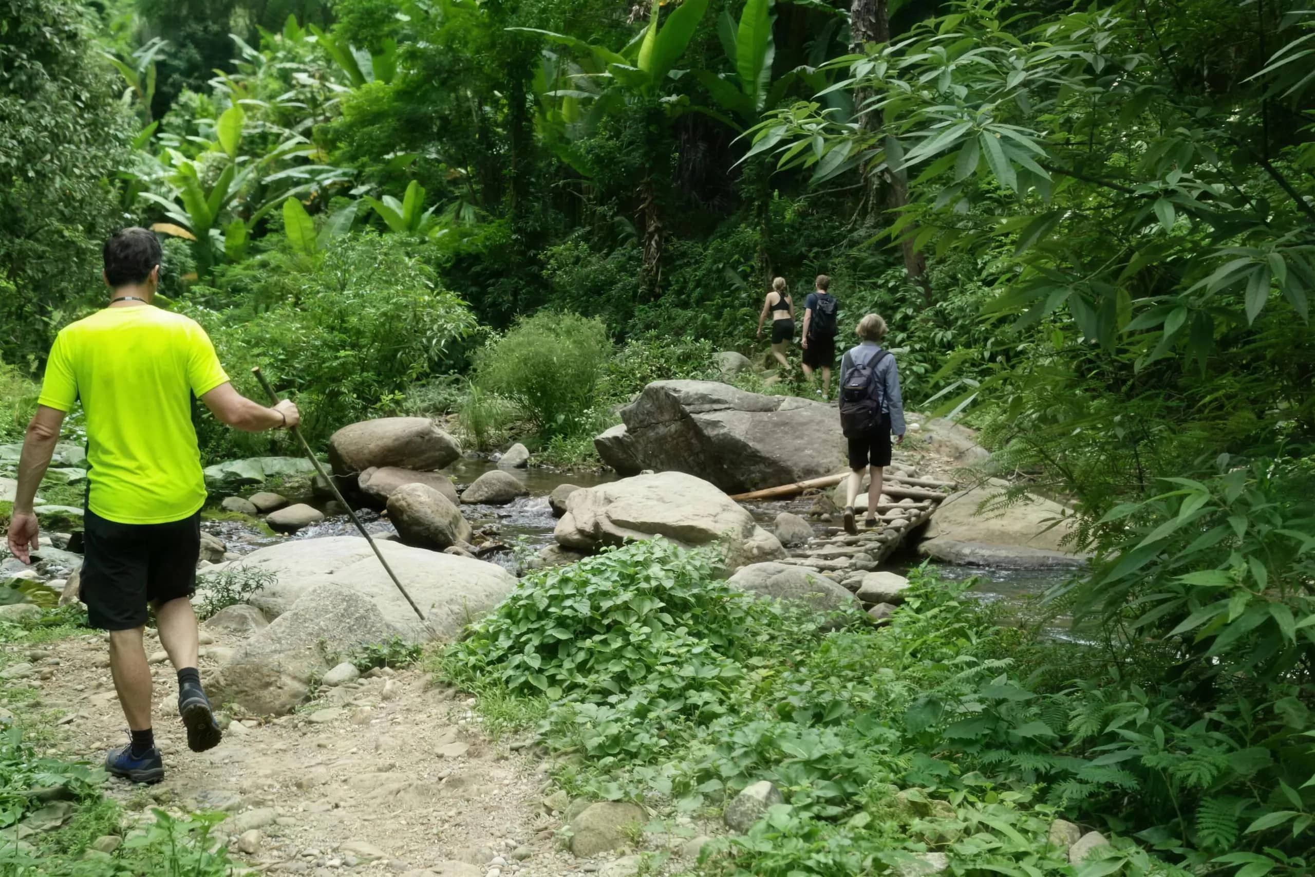 Hikers follow a rocky jungle trail past boulders and dense green plants toward a stream