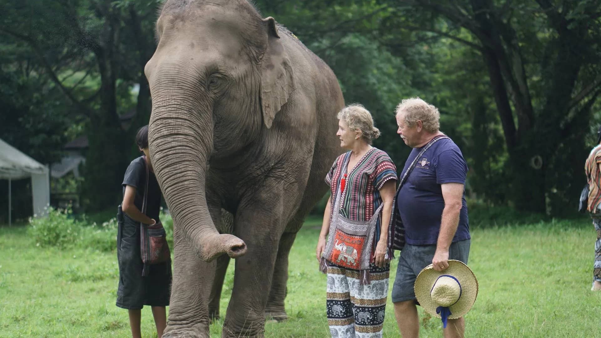A couple and a mahout stand on the grass beside an elephant at Chang Thai Heritage Elephant Sanctuary.
