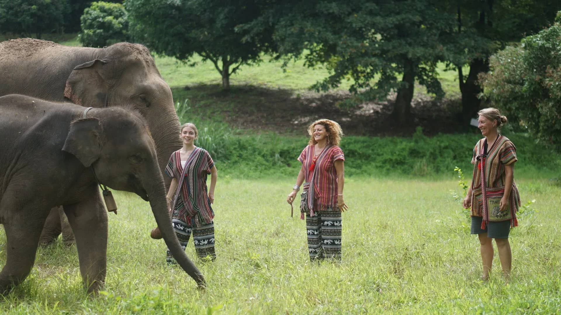 Three visitors in woven tops stand on a grassy meadow watching two elephants walk past.