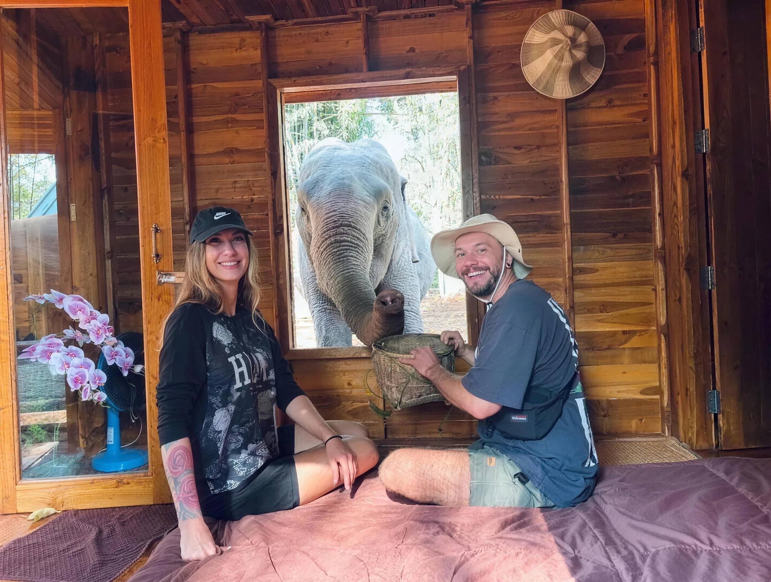 An elephant looks in through the window of a wooden bungalow where two guests sit with a basket