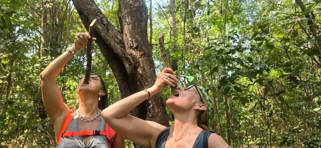 Two hikers tip their heads back to drink from cut jungle vines during a forest walk