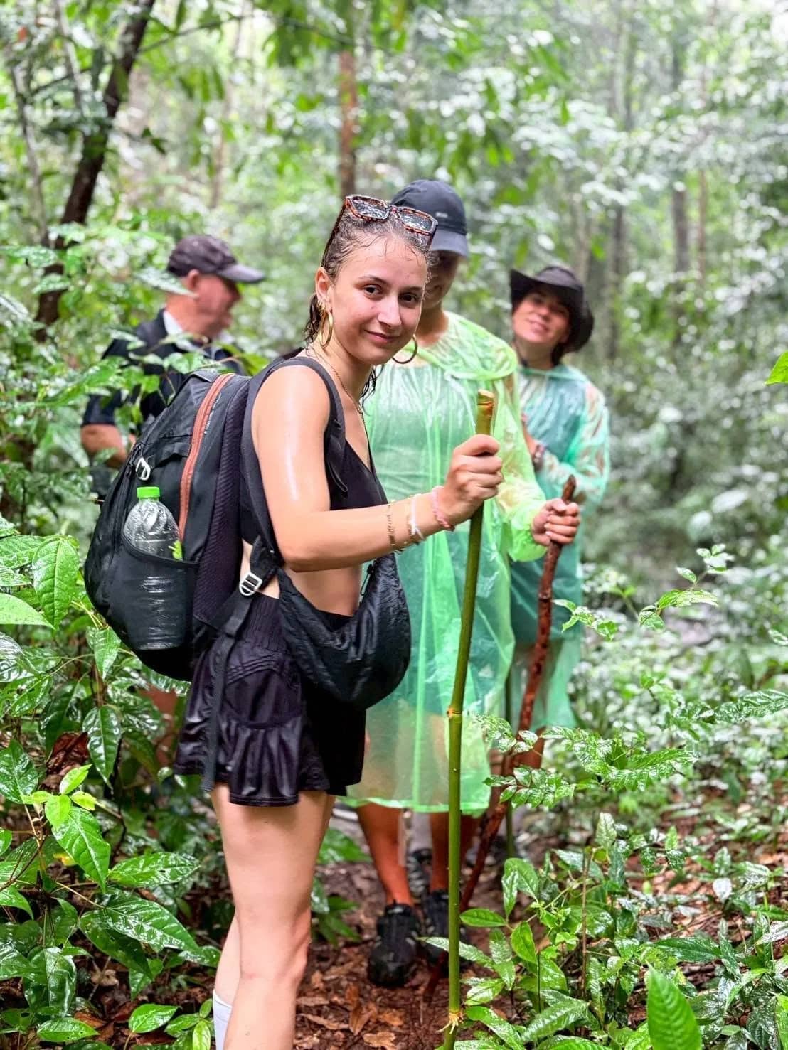Hikers in rain ponchos with bamboo walking sticks pause on a narrow jungle path in Doi Inthanon