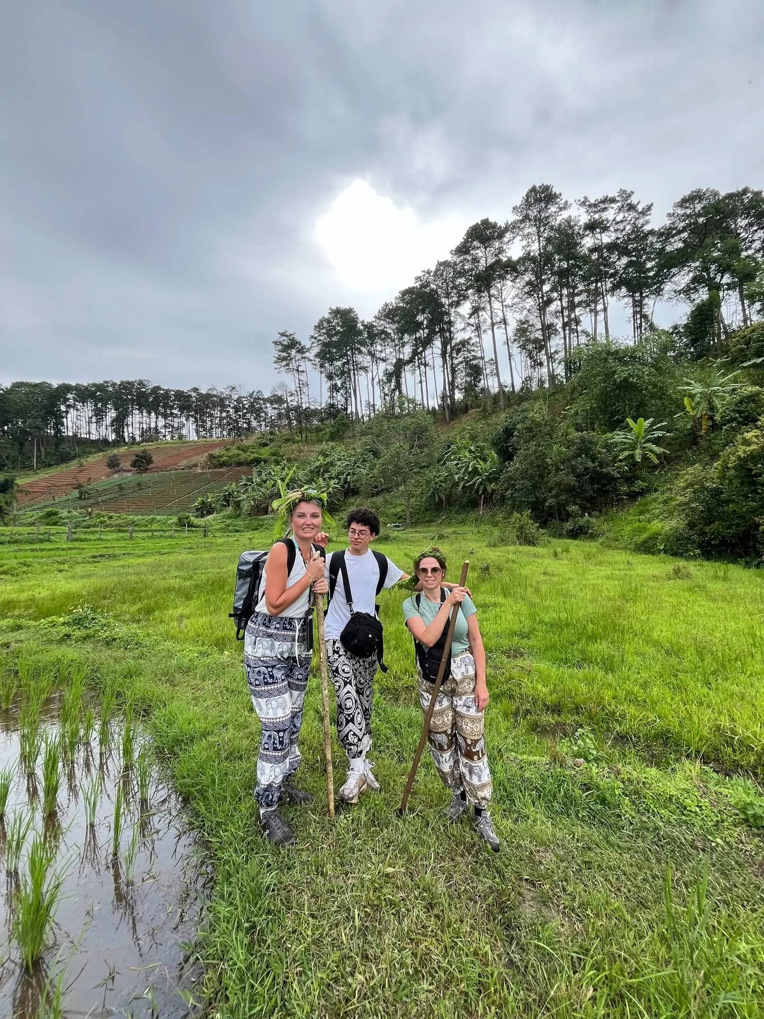 Three hikers with walking sticks stand in a green rice field below a ridge of tall pine trees.