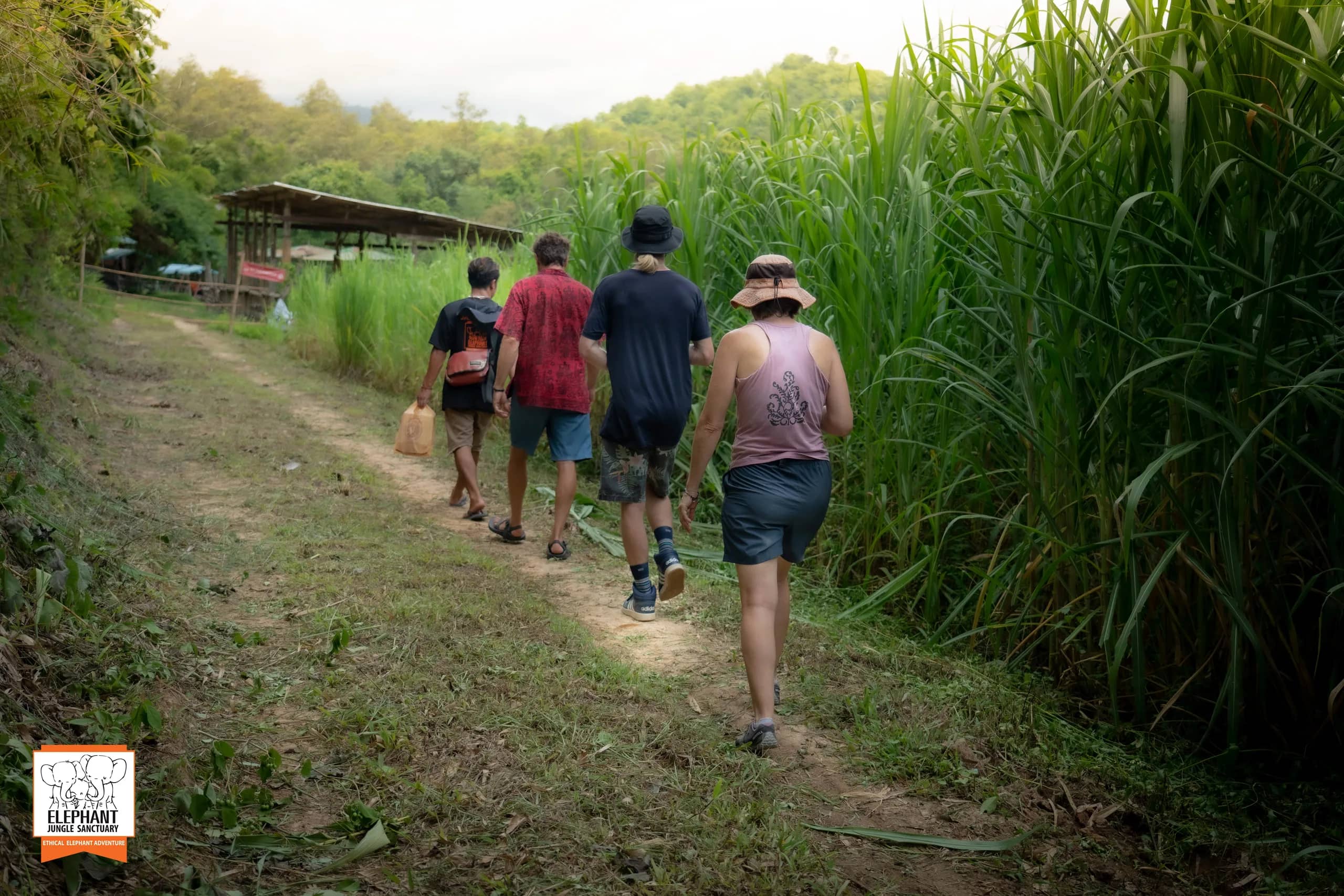 3-day 2-night volunteer program at Elephant Jungle Sanctuary Chiang Mai (photo 12)