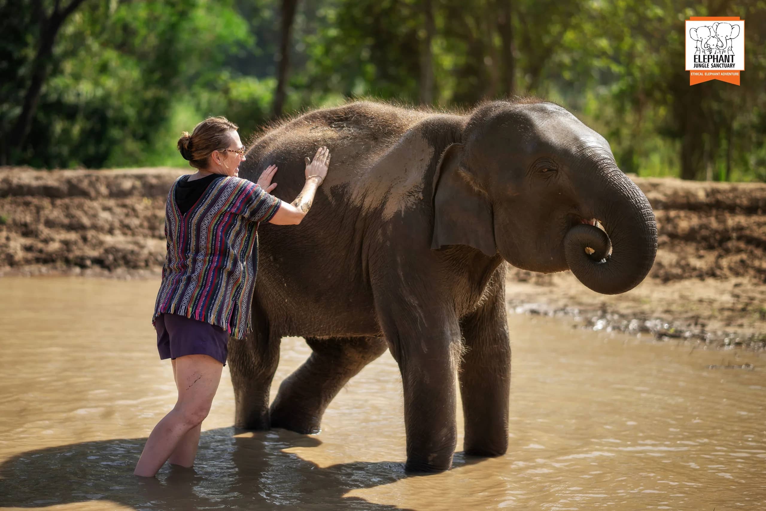 3-day 2-night volunteer program at Elephant Jungle Sanctuary Chiang Mai (photo 15)