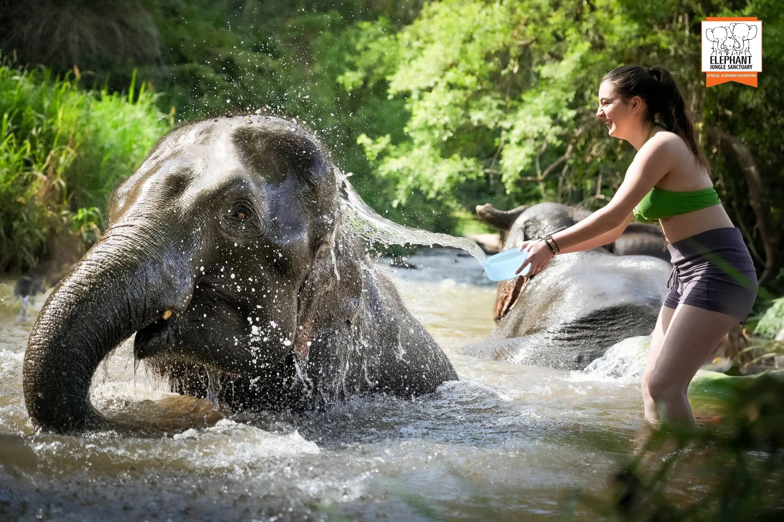 3-day 2-night volunteer program at Elephant Jungle Sanctuary Chiang Mai (photo 16)