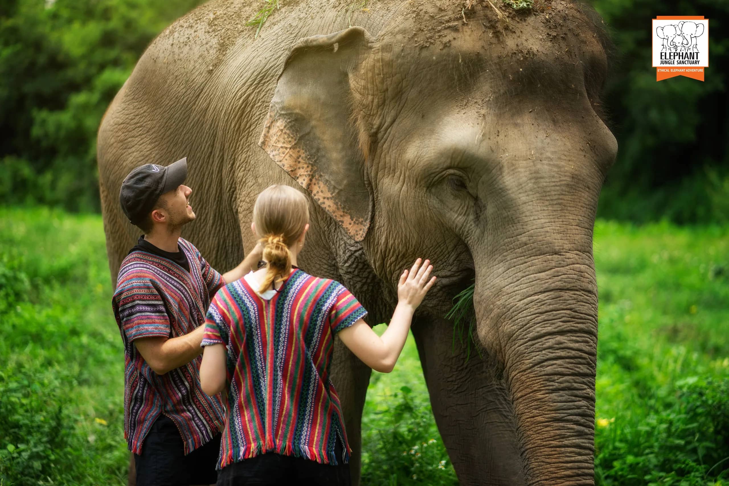 3-day 2-night volunteer program at Elephant Jungle Sanctuary Chiang Mai (photo 3)