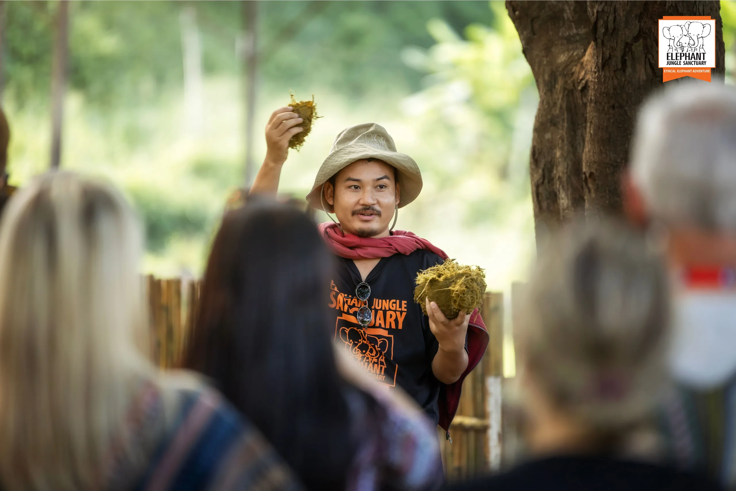3-day 2-night volunteer program at Elephant Jungle Sanctuary Chiang Mai (photo 5)
