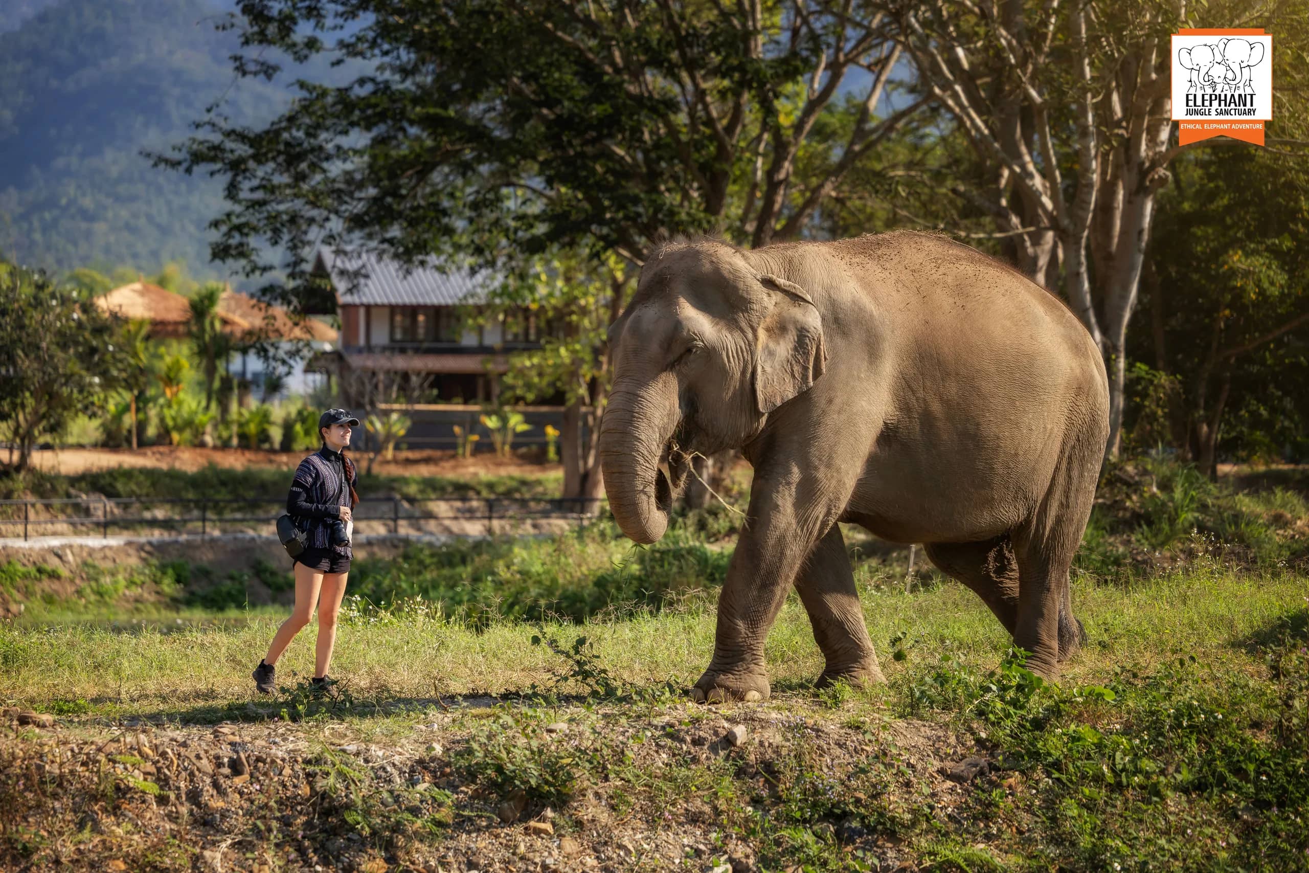 3-day 2-night volunteer program at Elephant Jungle Sanctuary Chiang Mai (photo 9)
