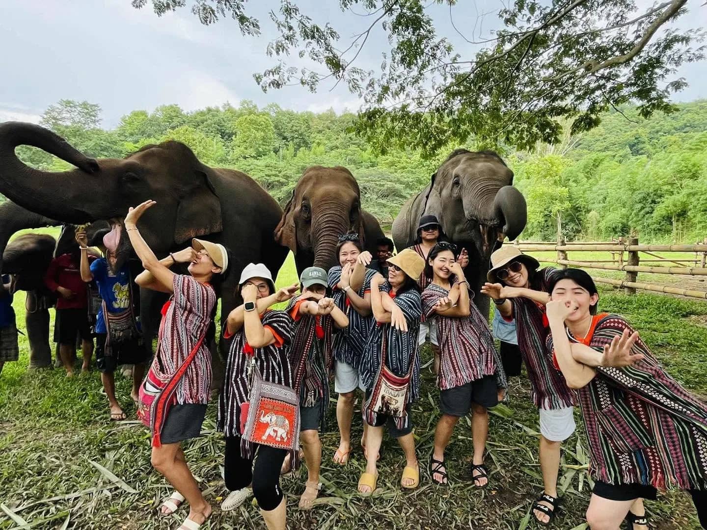 A cheerful group in red striped tops poses in front of several elephants at Chang Thai Heritage Elephant Sanctuary.