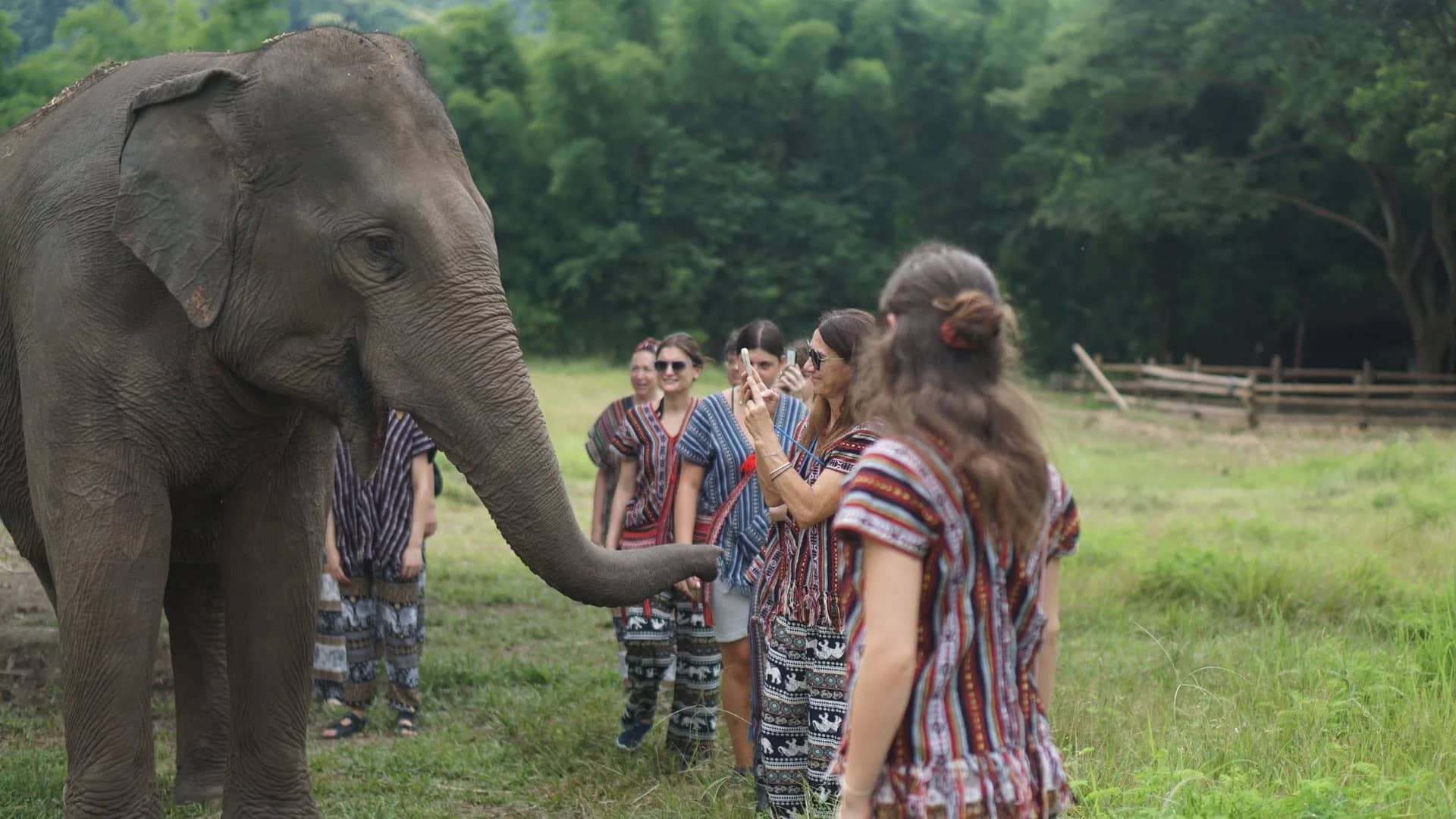 An elephant stretches its trunk toward a group of visitors in striped tops on a grassy field.
