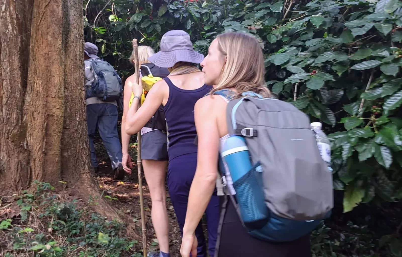 3 days / 2 nights mountain trek Mae Taeng highlands Jungle Trek - photo 3