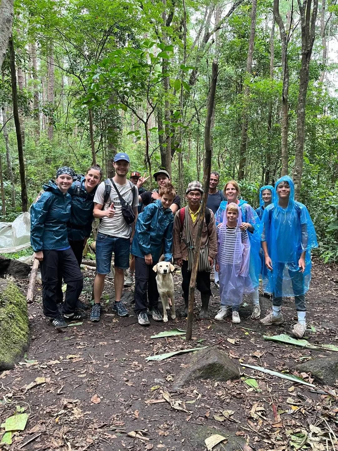 Trekkers in rain ponchos pose with their guide and a dog on a forest trail