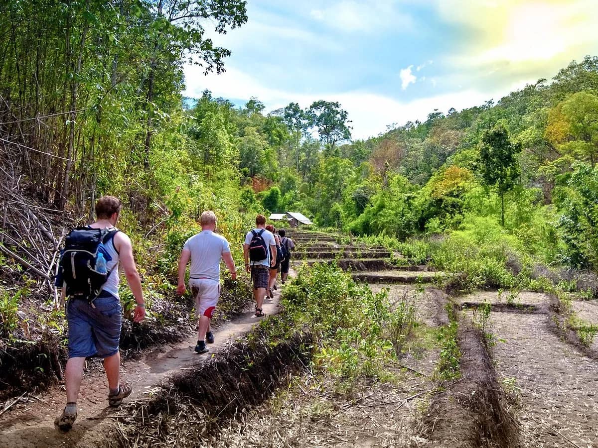 Trekkers with backpacks walk a dirt path past terraced fields toward forested hills