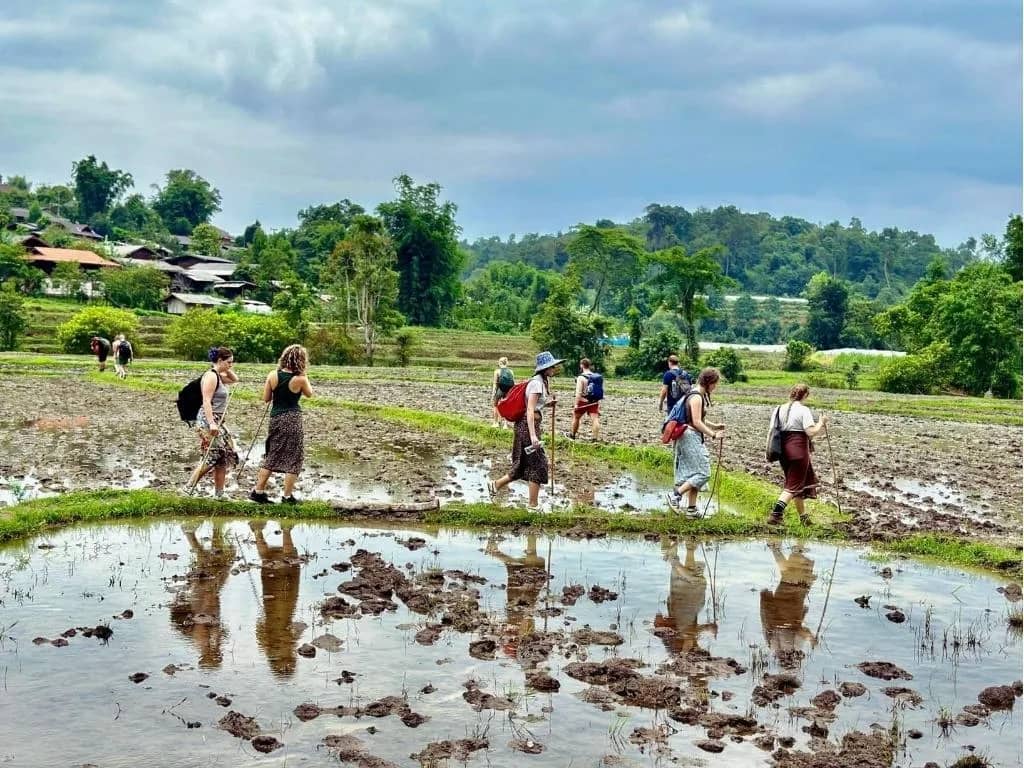 Trekkers walk along the edge of flooded rice paddies near a village with forested hills behind.