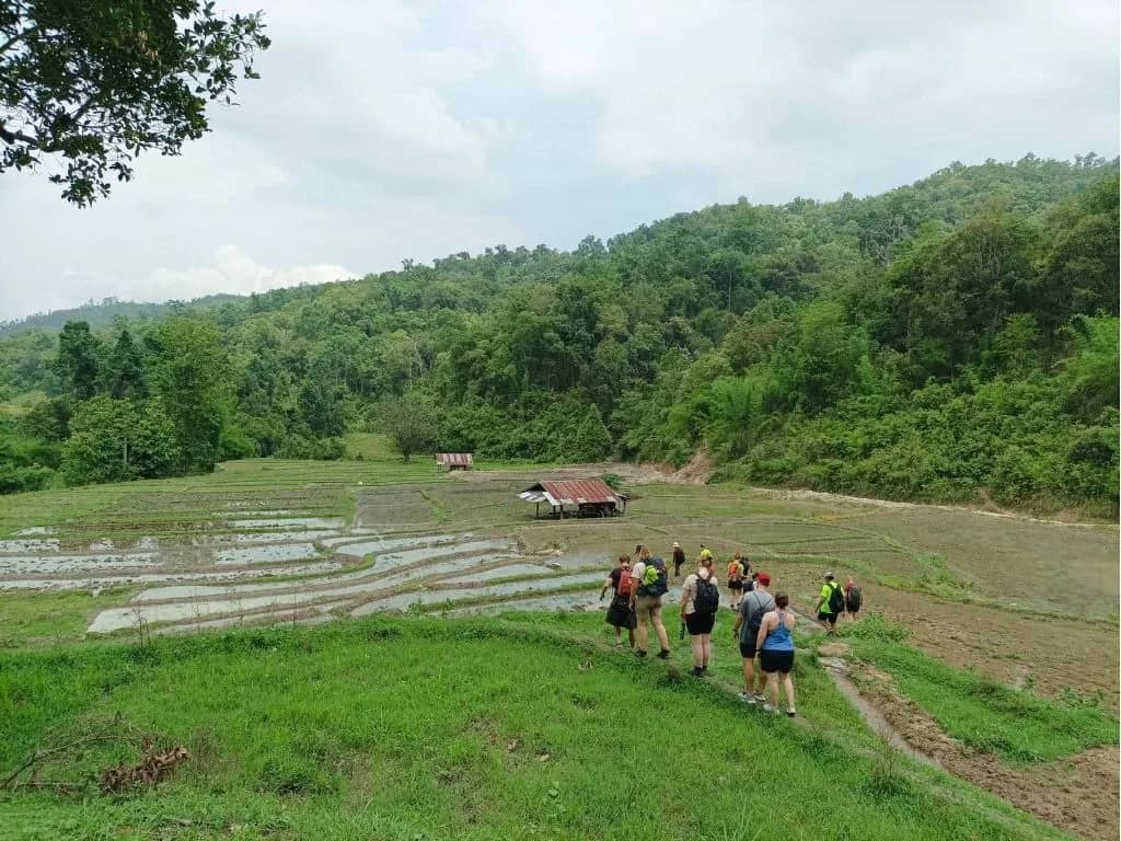A group of hikers walks across rice field terraces in a green valley surrounded by forested hills.