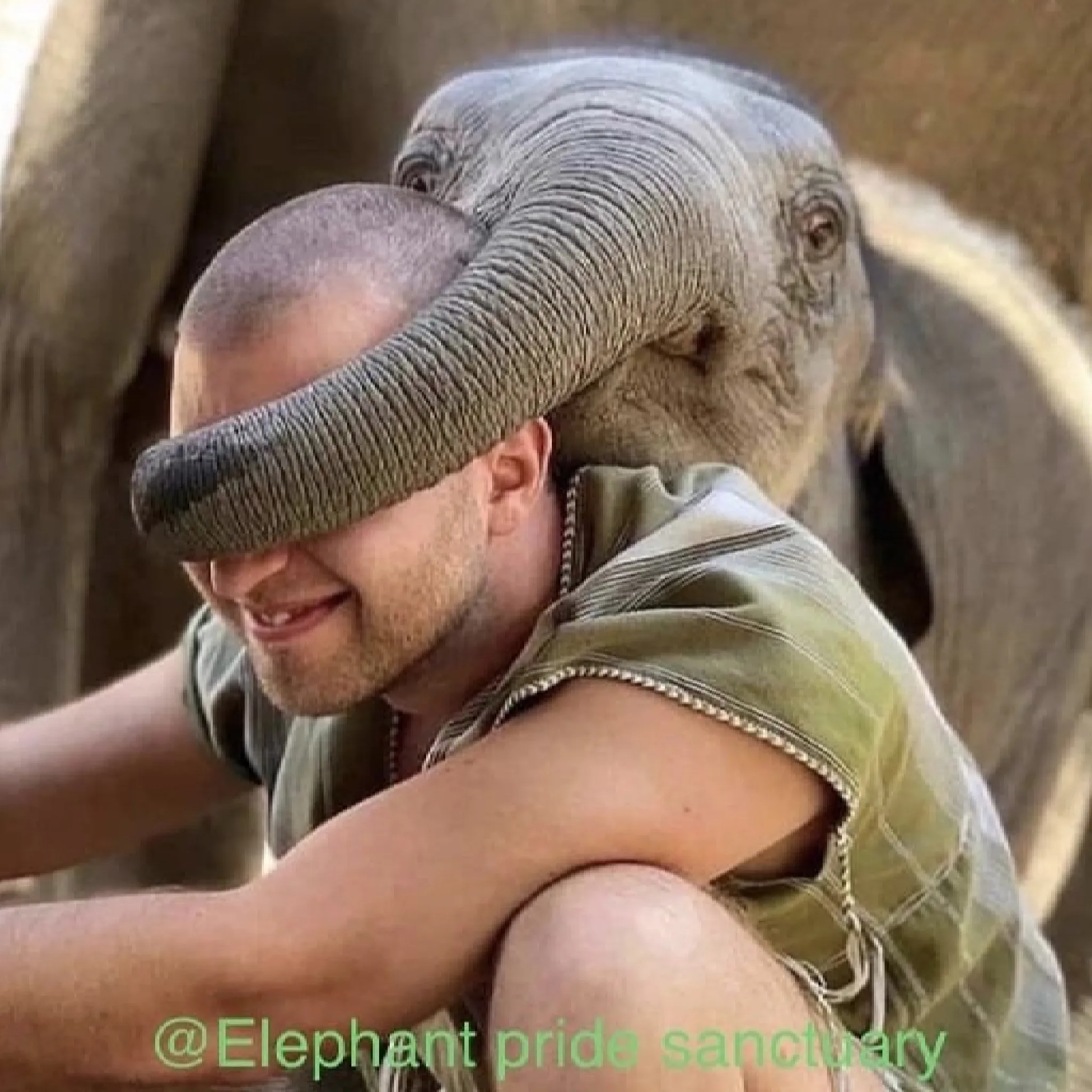 A young elephant wraps its trunk over a smiling visitor's eyes at Elephant Pride Sanctuary