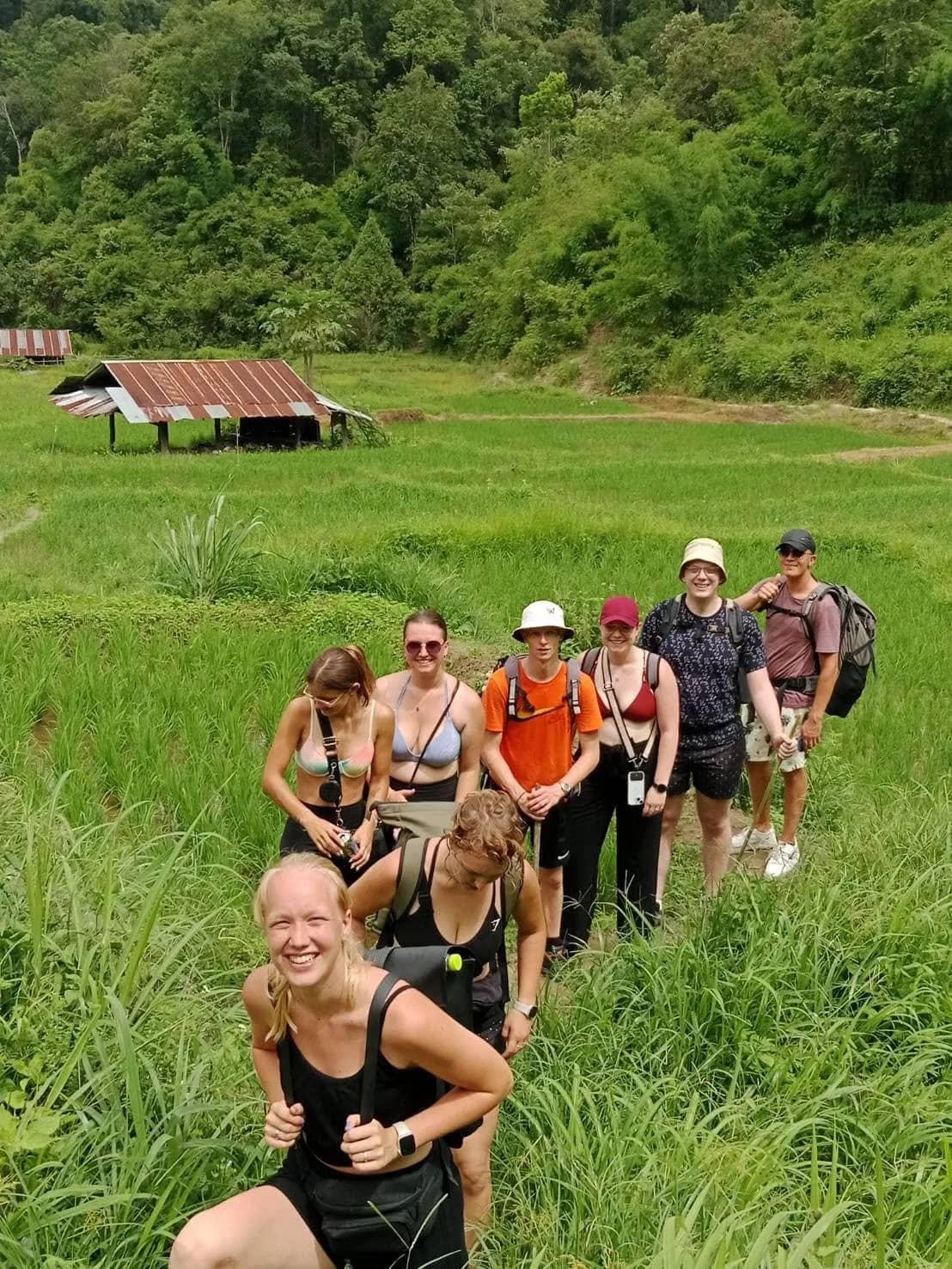 A smiling group of hikers walks single file through tall green rice grass near a field hut.