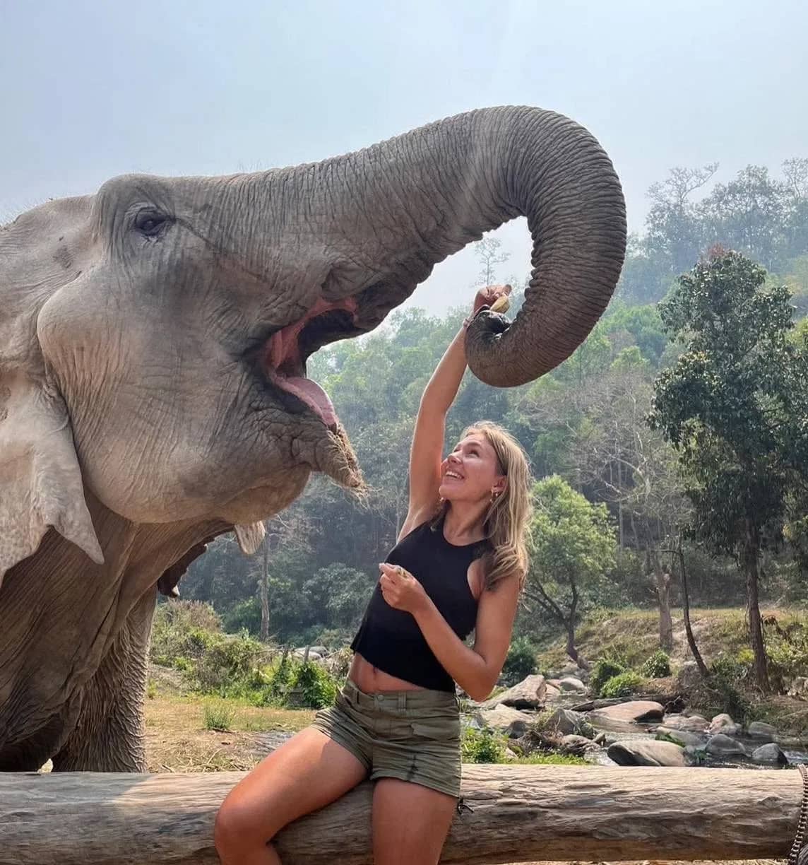 An elephant raises its trunk over a smiling hiker sitting on a log rail in the forest
