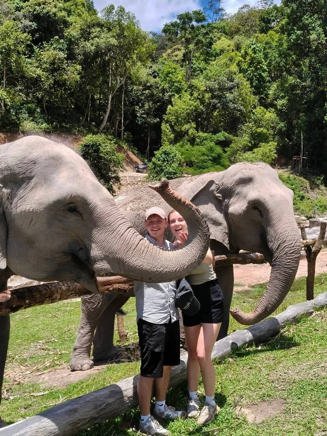 A couple stands by a wooden rail as two elephants reach their trunks toward them.
