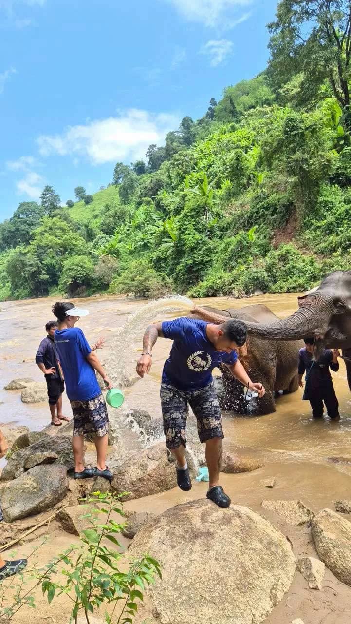 Visitors in blue shirts splash water on an elephant in a rocky river below green hills