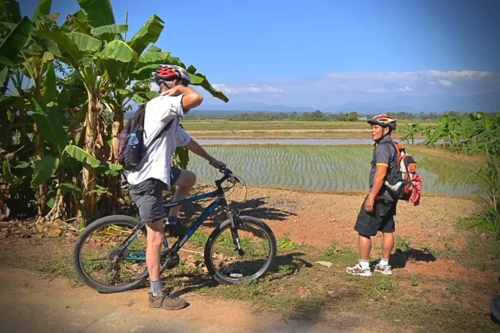 Two cyclists in helmets pause beside flooded rice paddies with mountains on the horizon