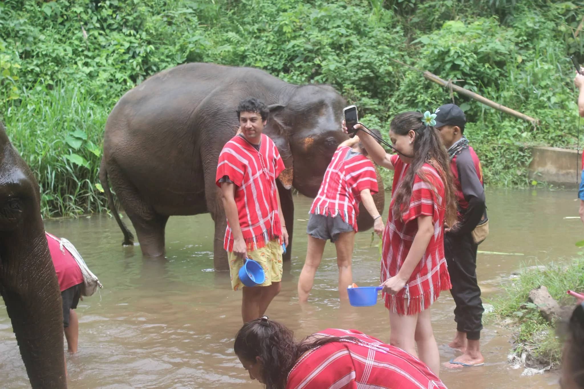 Visitors in red Karen shirts carry buckets beside an elephant standing in a jungle stream