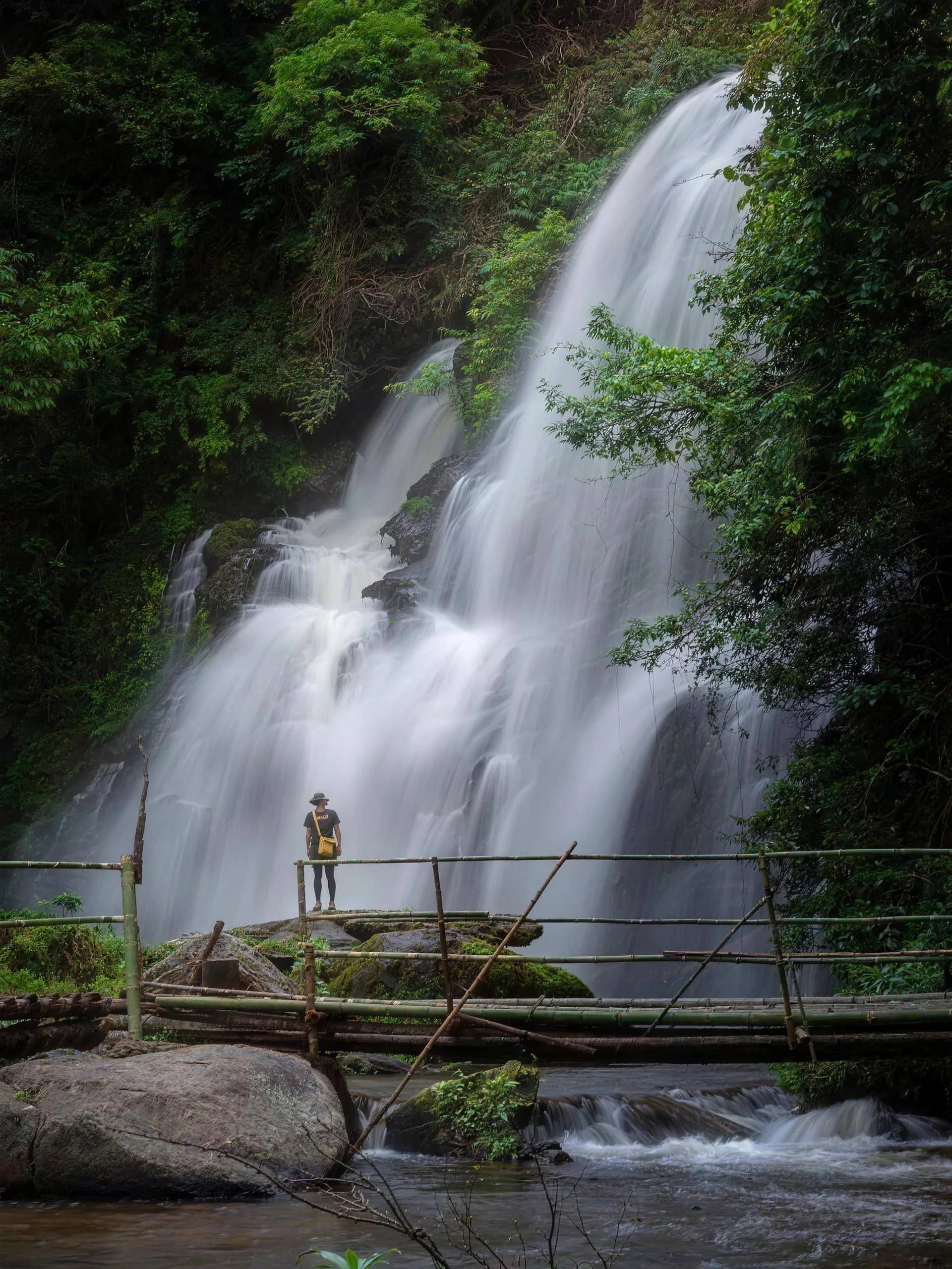 A lone hiker on a bamboo bridge looks up at a tall cascading waterfall in the Doi Inthanon forest