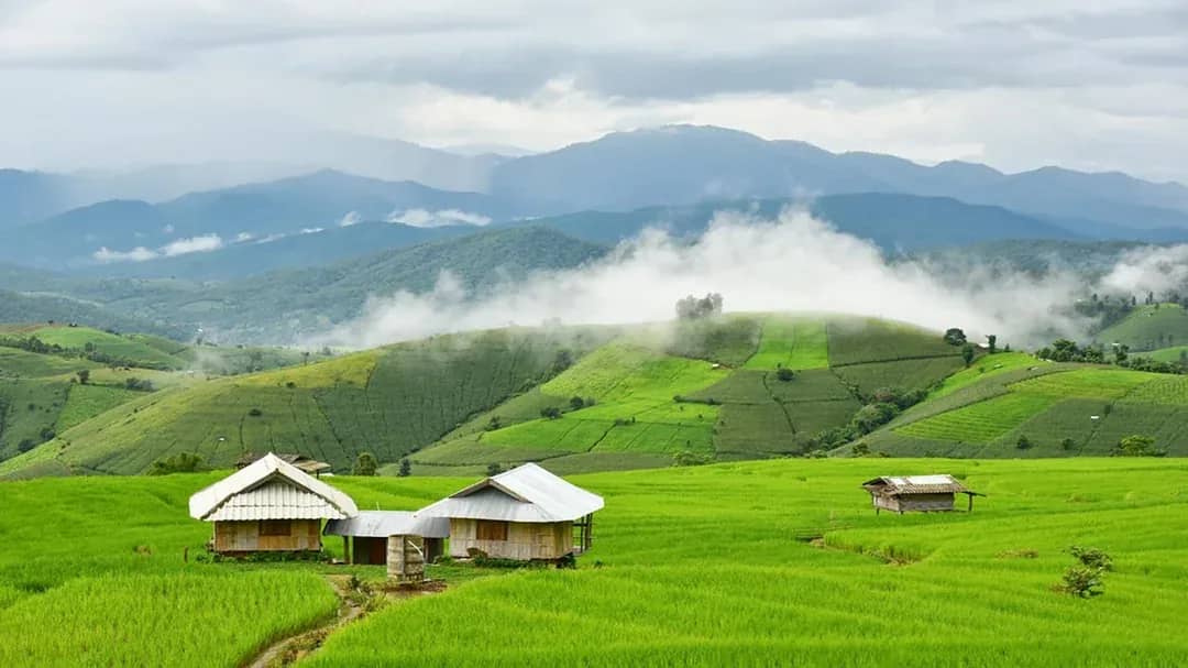 Small wooden huts sit among bright green rice terraces with misty mountains behind
