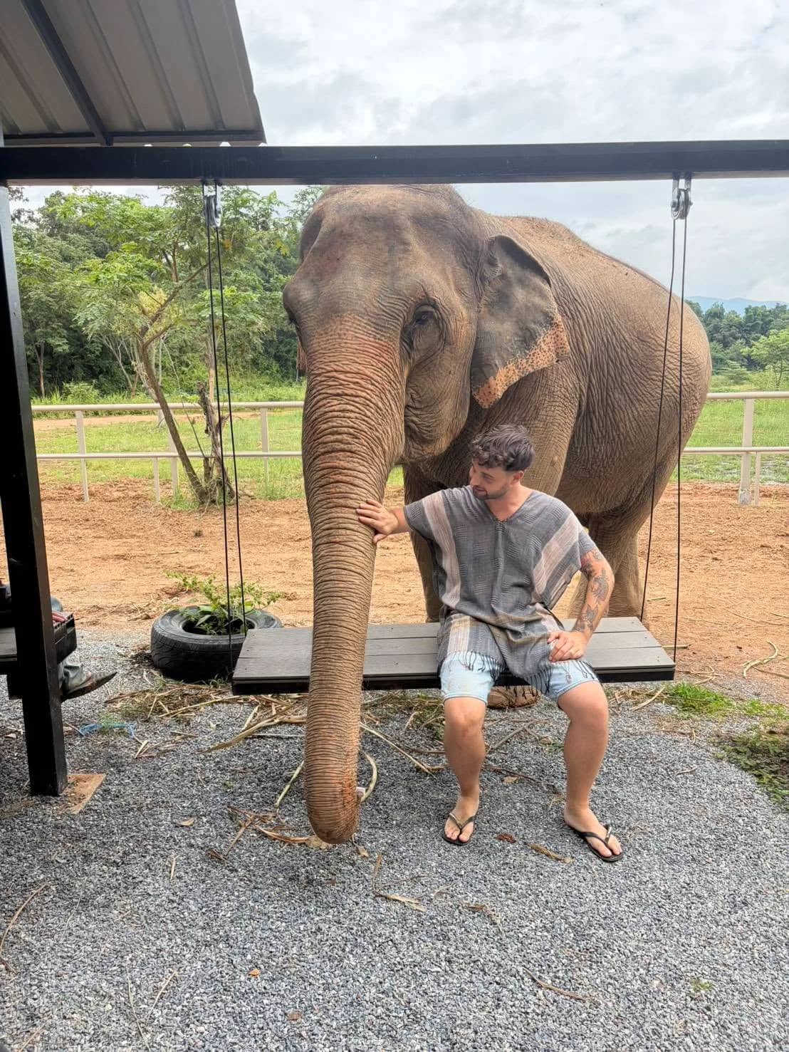 A visitor sits on a wooden swing beside an elephant under a covered shelter
