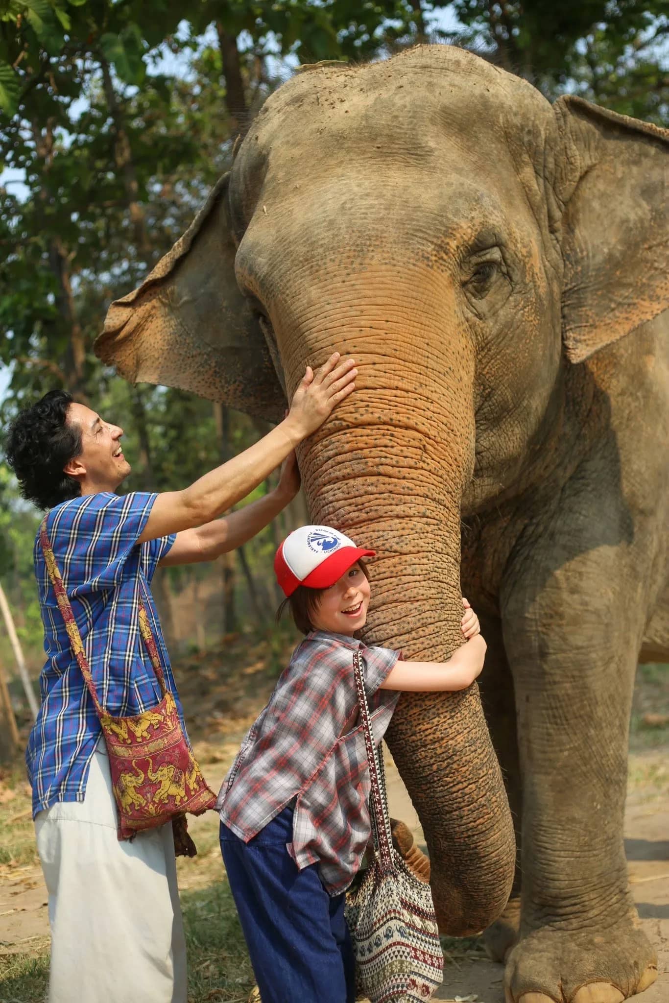 A visitor and a child in a red cap hug an elephant's trunk under the trees