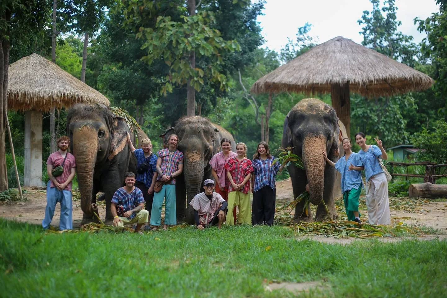A group of visitors in colourful shirts poses with three elephants under thatched shelters