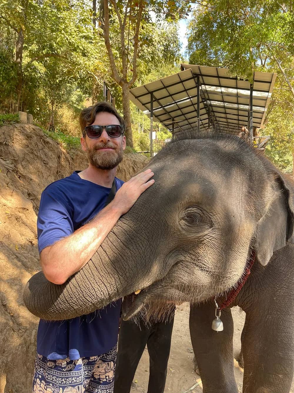 A visitor in sunglasses wraps an arm around a young elephant's trunk on a forest path.
