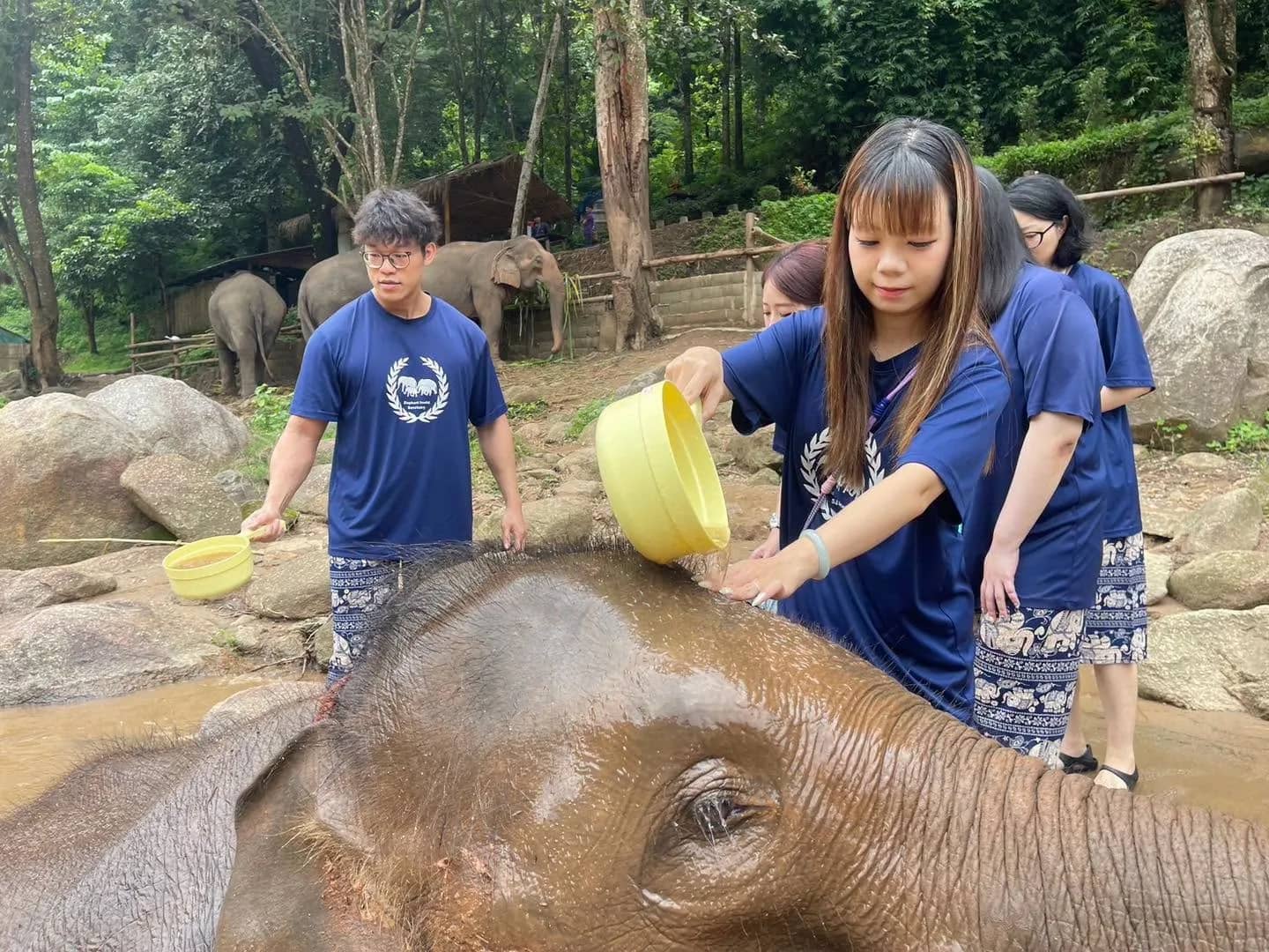 Visitors in blue shirts pour buckets of water over an elephant at the riverside.