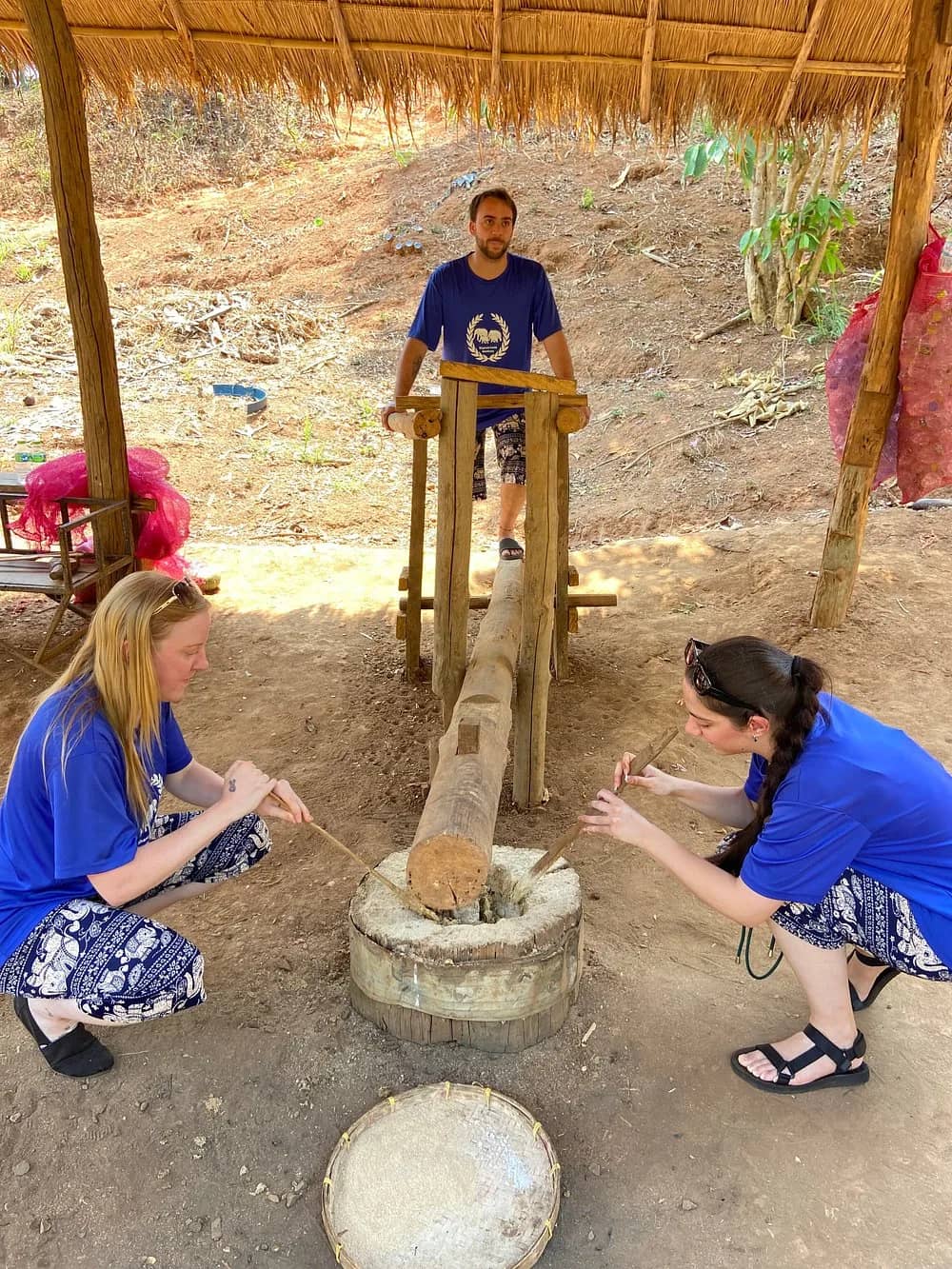Visitors in blue shirts work a wooden foot pestle to pound food for the elephants