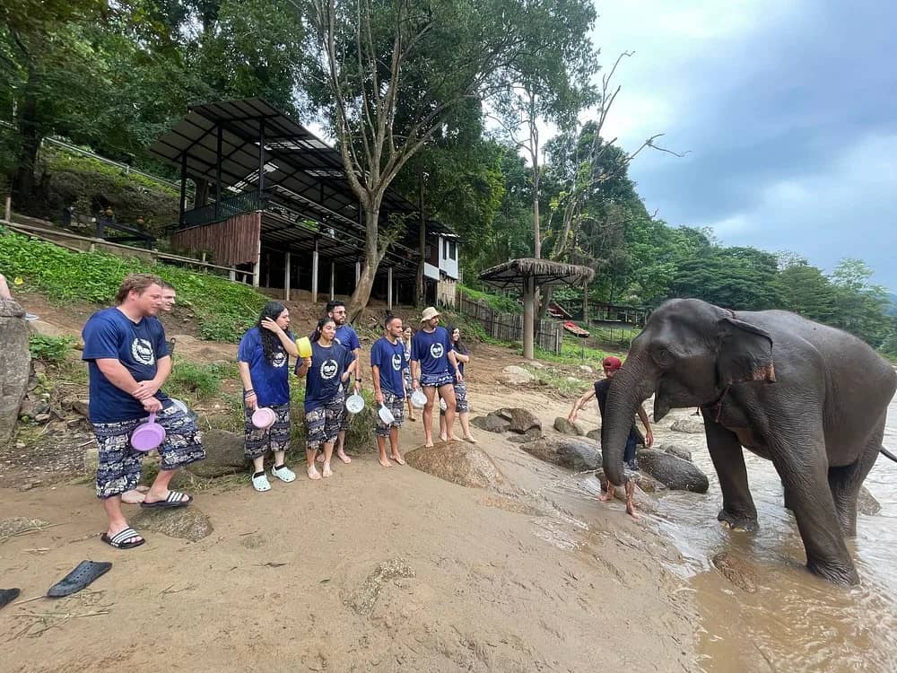 Visitors in blue shirts holding bowls stand on the river bank as an elephant wades nearby