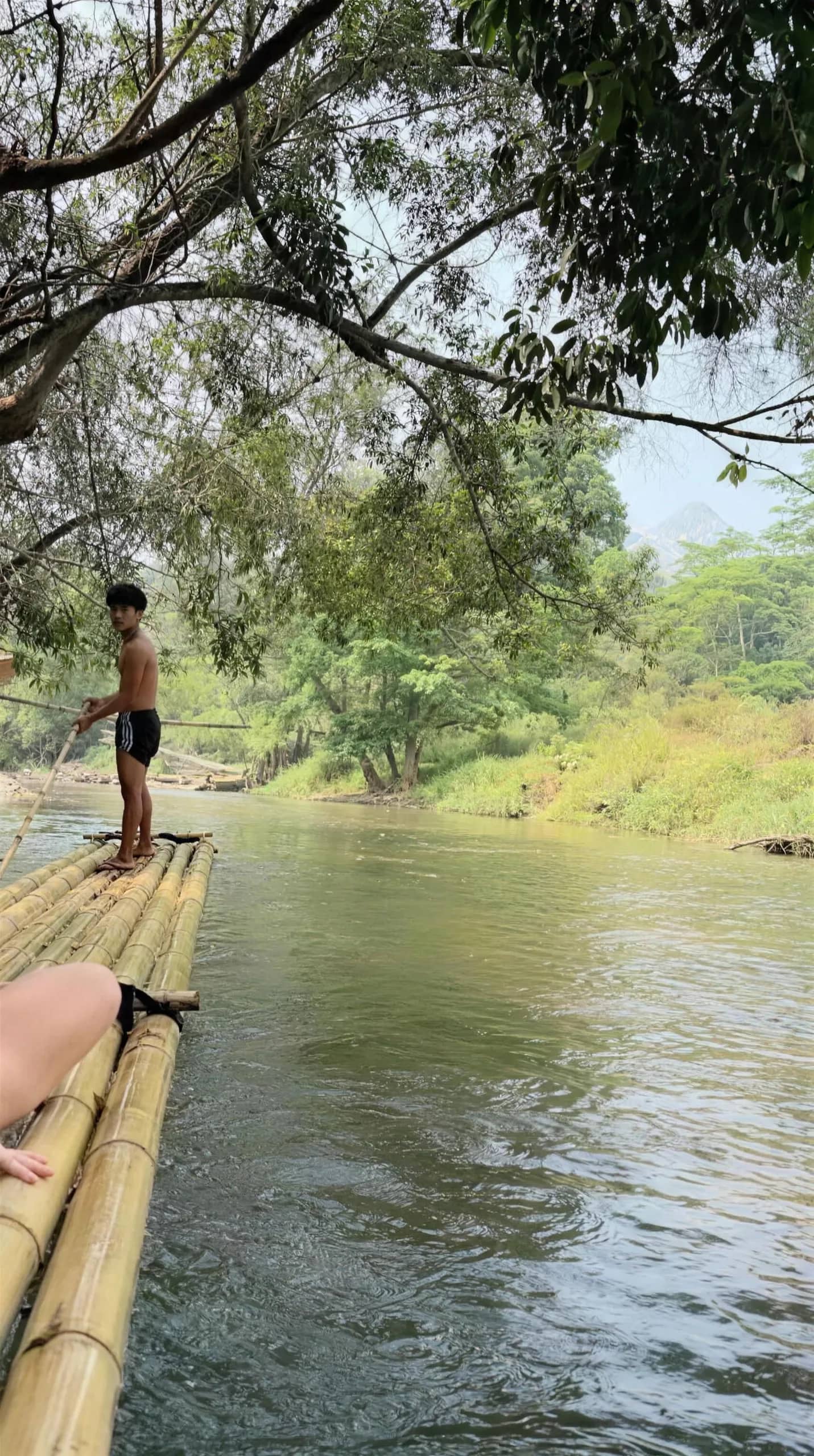 A raftsman stands on the front of a bamboo raft drifting down a tree-lined river