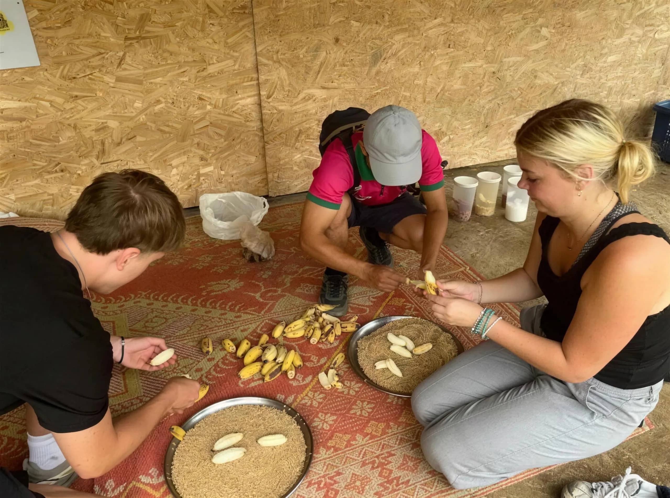 Visitors sit on a mat peeling bananas into metal trays as elephant food