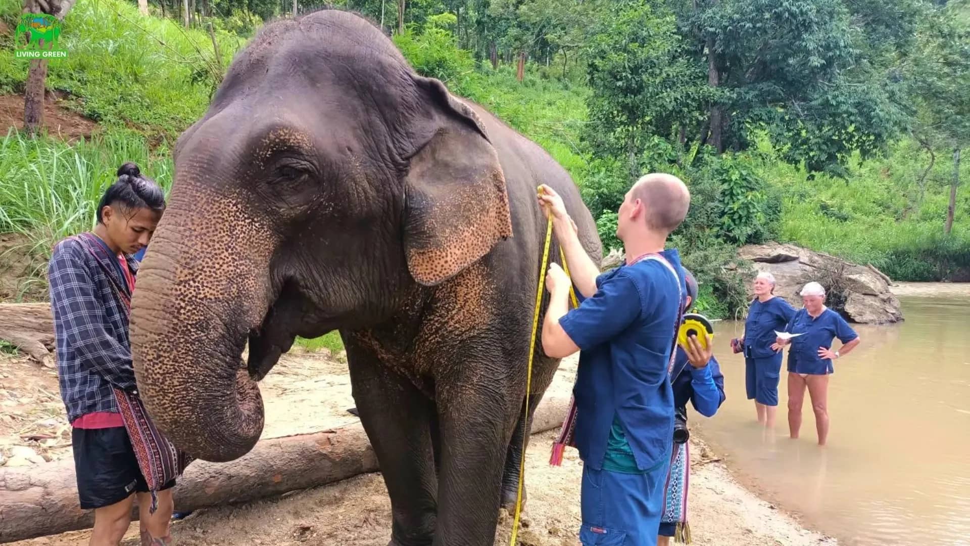 Guests stand with an elephant on a sandy riverbank while others wade in the stream behind