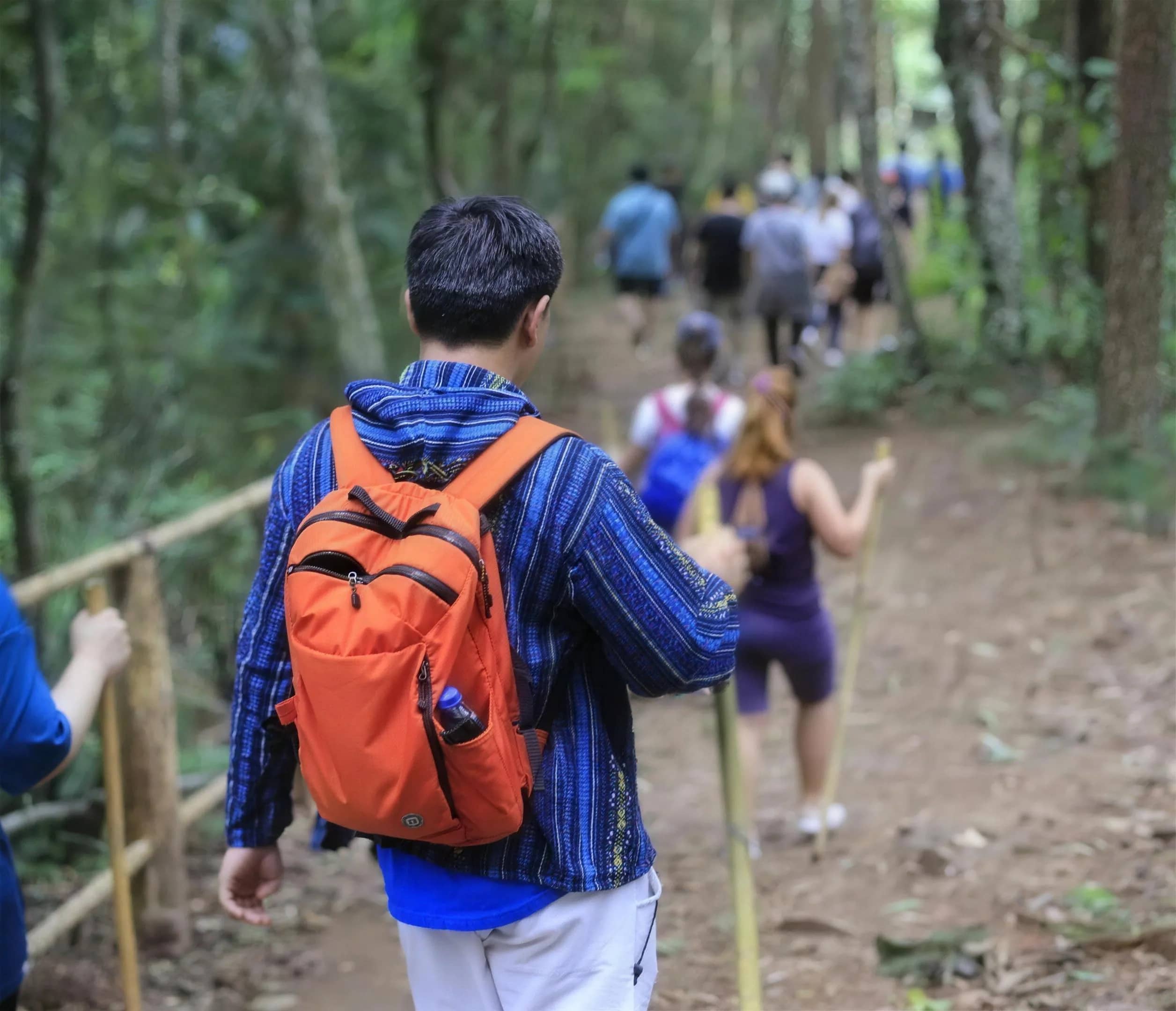 Hikers with daypacks and walking sticks follow a dirt trail through the forest at Doi Inthanon