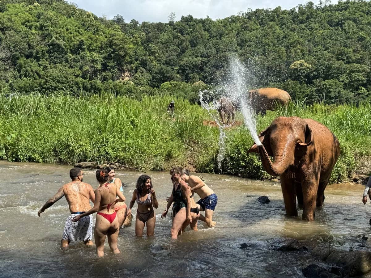 An elephant sprays a jet of water at cheering visitors standing in a shallow river
