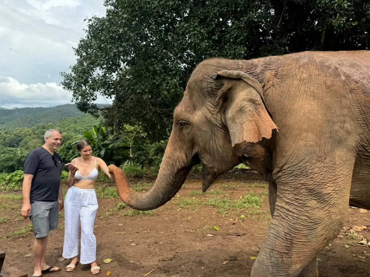 Two visitors hand food to an elephant reaching out its trunk on a forest clearing