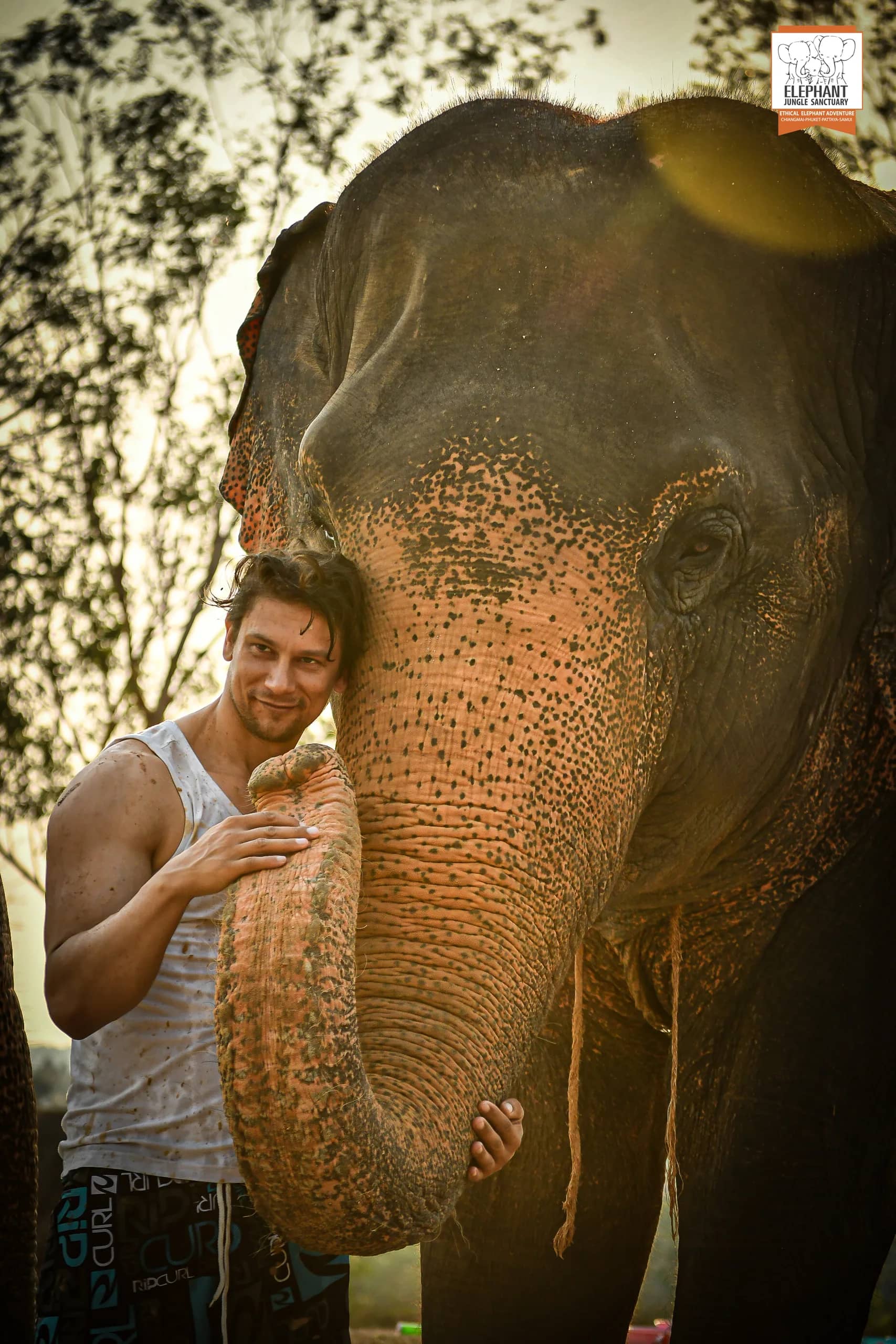 Feed and Bath at Elephant Jungle Sanctuary Pattaya (photo 2)