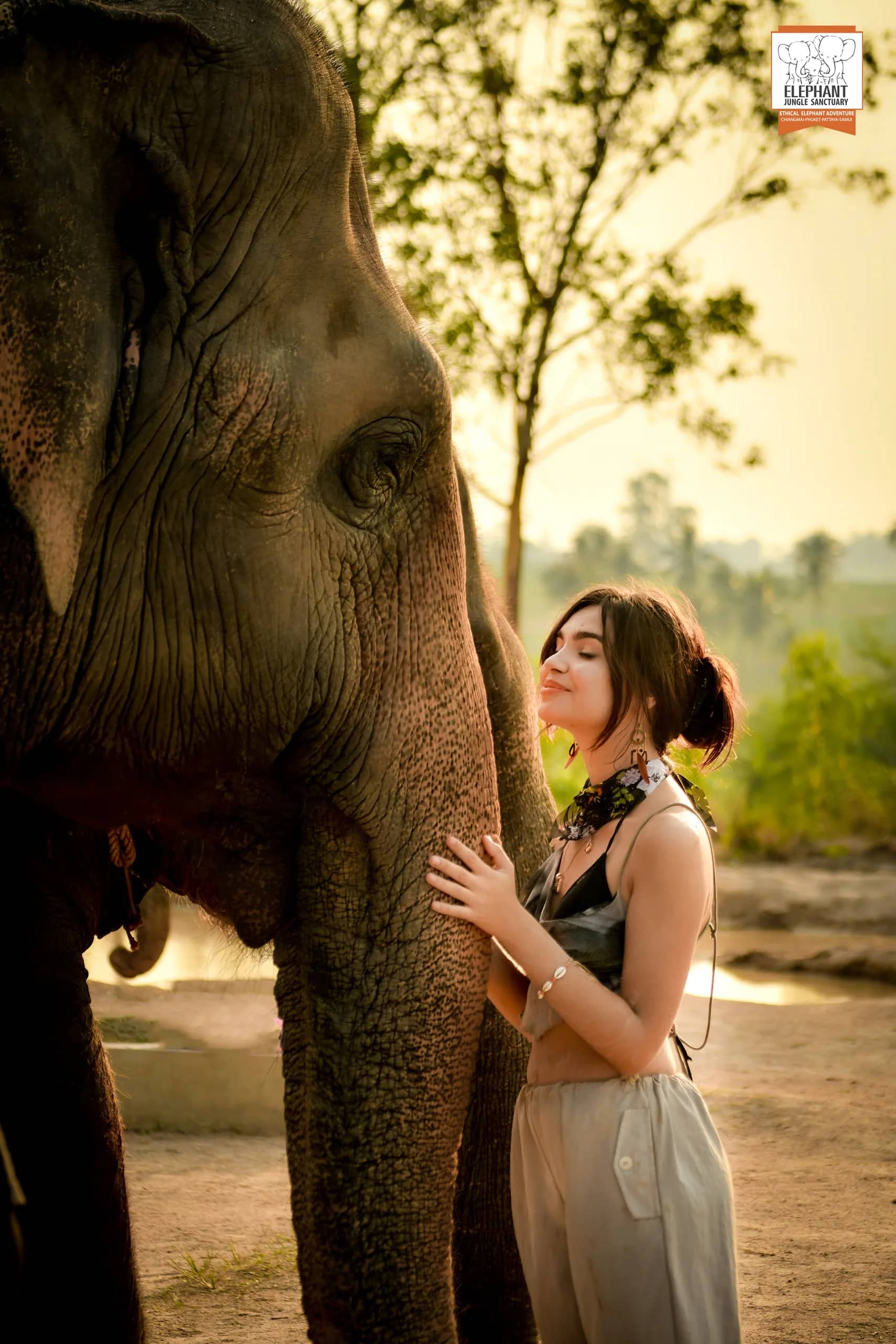 Feed and Bath at Elephant Jungle Sanctuary Pattaya (photo 5)