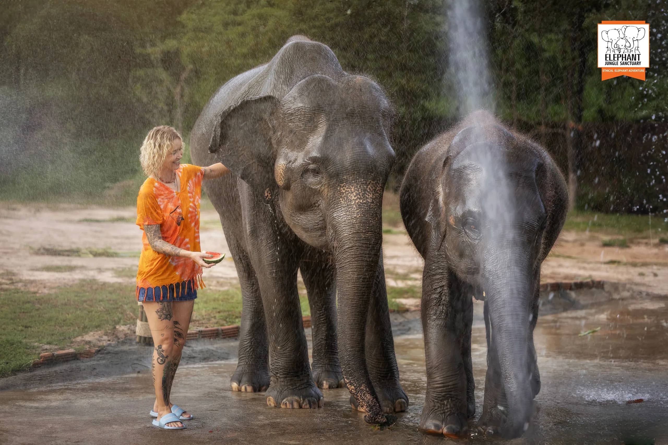 Feed and Shower at Elephant Jungle Sanctuary Chiang Mai (photo 9)