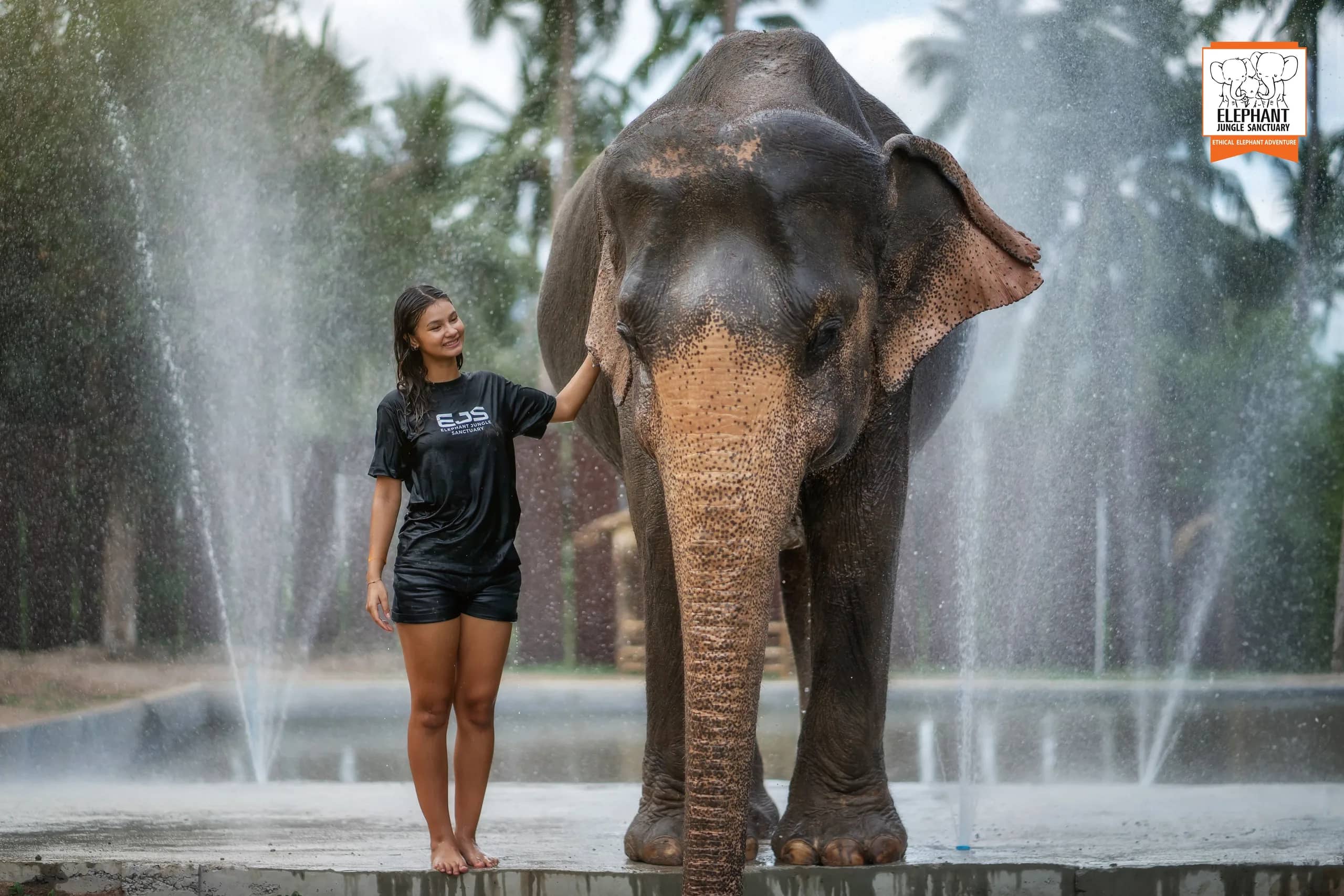 Feed and Shower at Elephant Jungle Sanctuary Samui (photo 5)