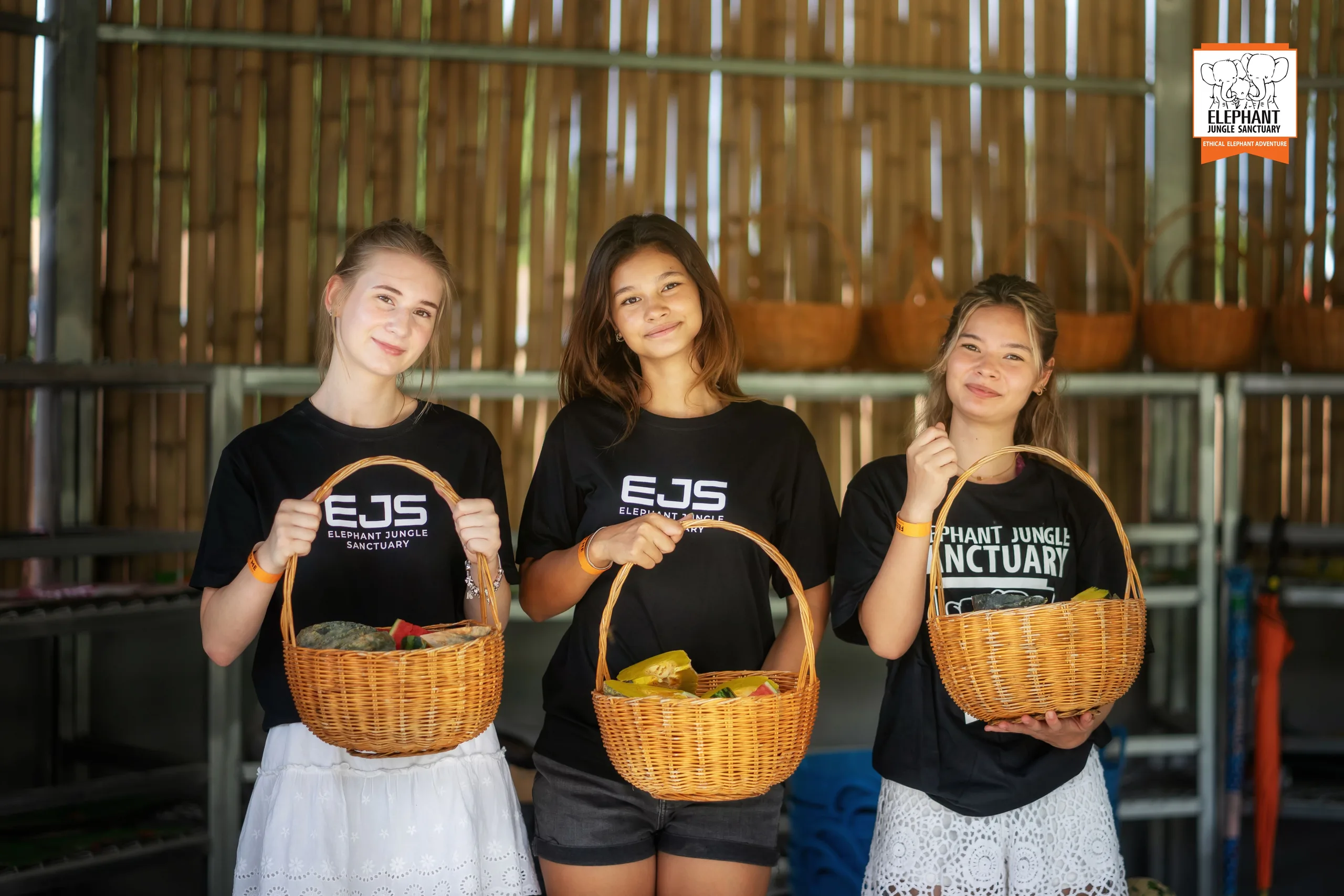 Feed Me at Elephant Jungle Sanctuary Samui (photo 3)